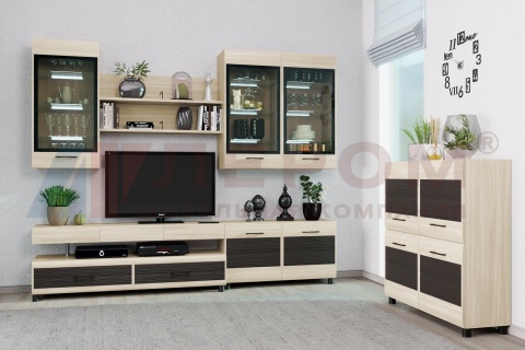 Гостиная-Стенка Камелия №8 (В-2172 х Ш-2700 х Г-452 мм)
